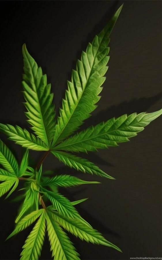 Weed Live Wallpapers Android Apps On Google Play