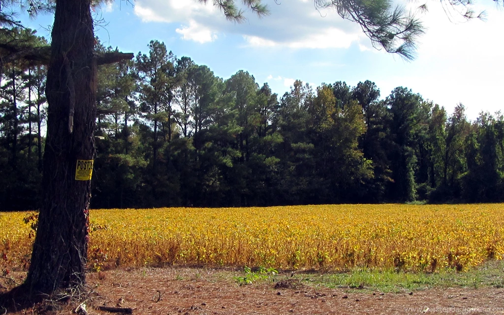 Fields Country Crops Fields Croplands Rural Desktop Backgrounds ...