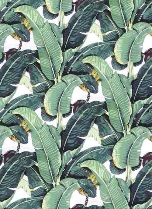 Blanche Devereaux's Bedroom Wallpaper  banana Plant...