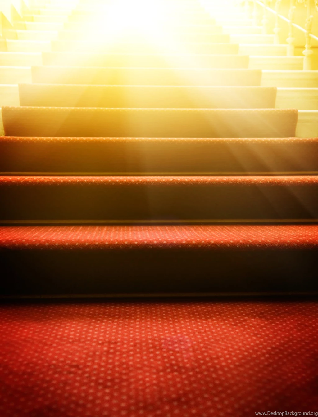 Red Carpet Stairs 46706   Stage Venue   Others