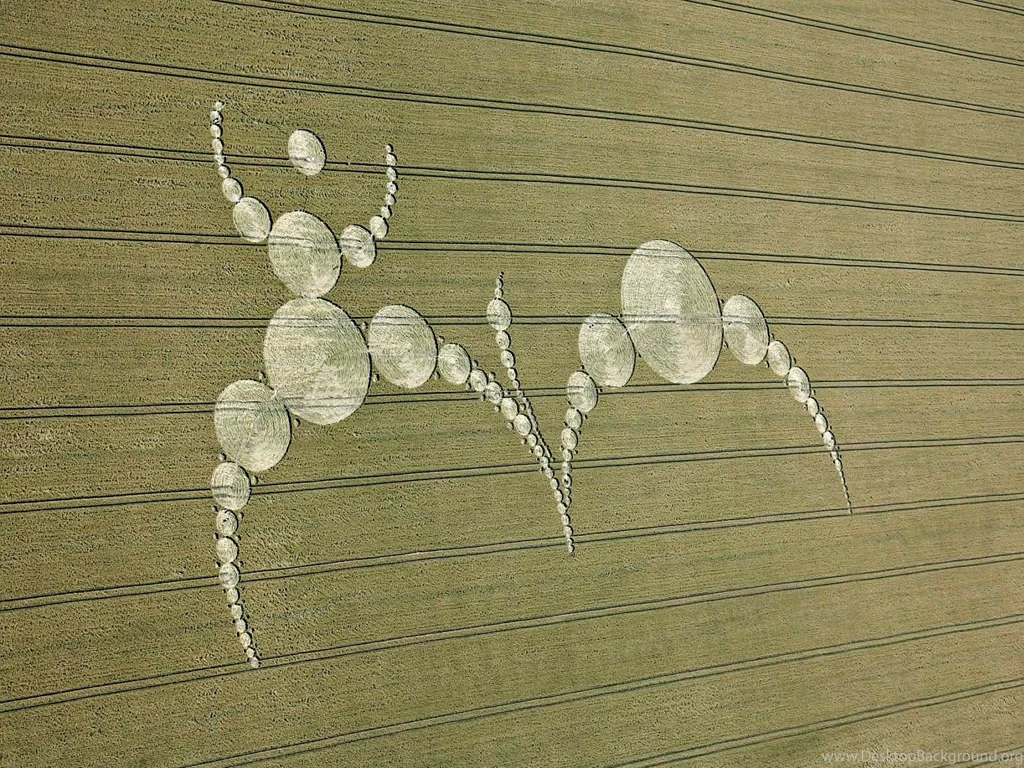 Crop Circles Computer Wallpapers, Desktop Backgrounds