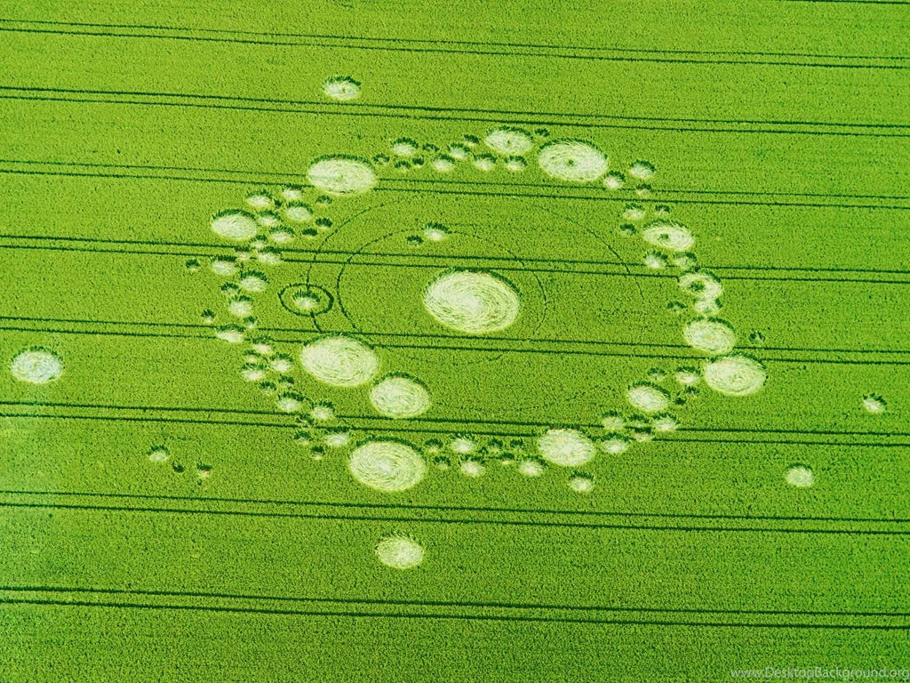 Crop Circles