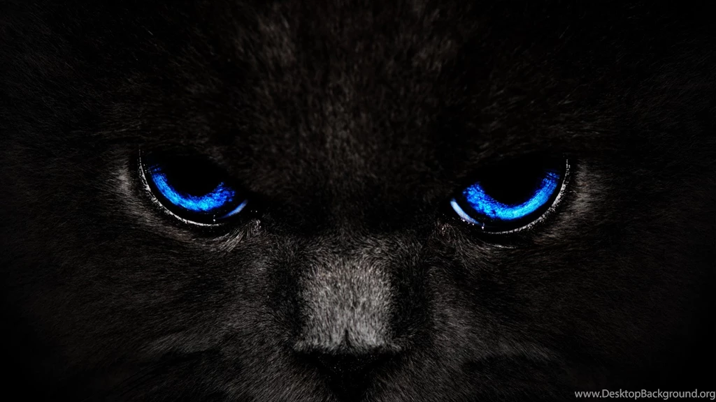 Panther Wallpapers