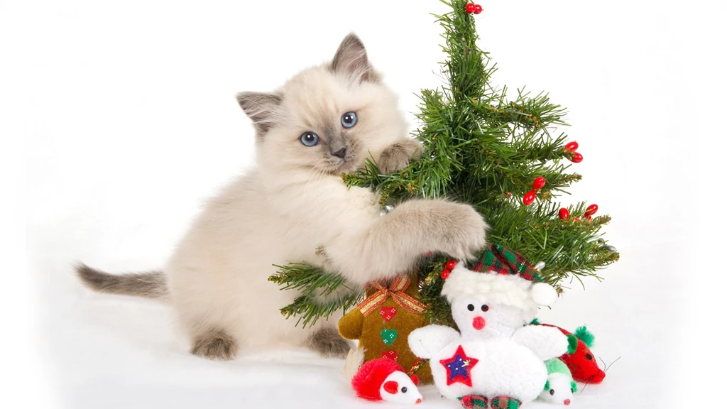 Animated Christmas Wallpapers