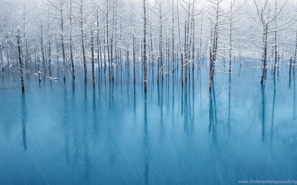 20+ HQ Snow Backgrounds, Wallpapers, Images