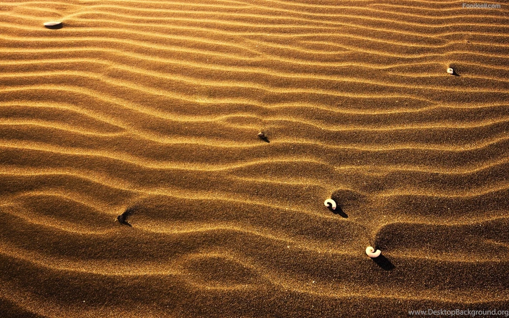 Arena en la playa 10469.jpg