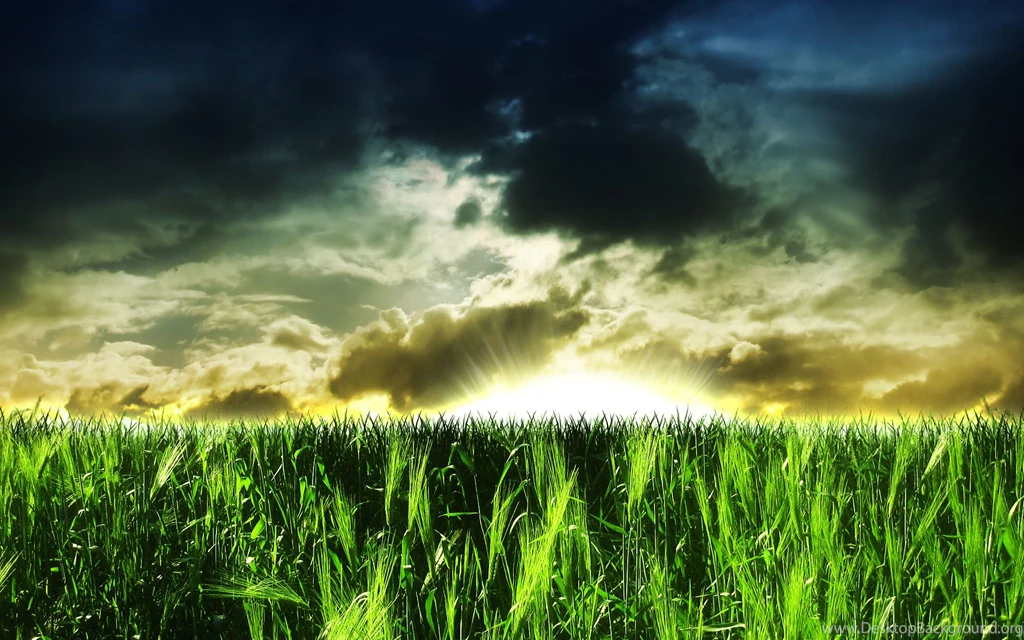 Best Hd Widescreen Nature Wallpapers Hd Wallpapers Arena ...
