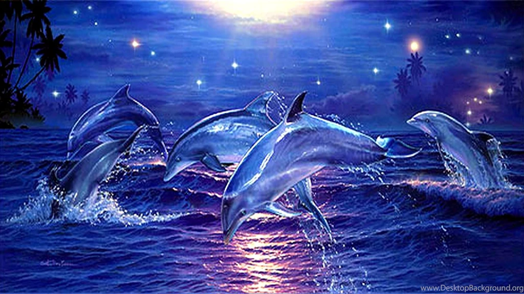 Wallpapers Pink Dolphin Tropical Starlight Dolphins Sea Stars ...