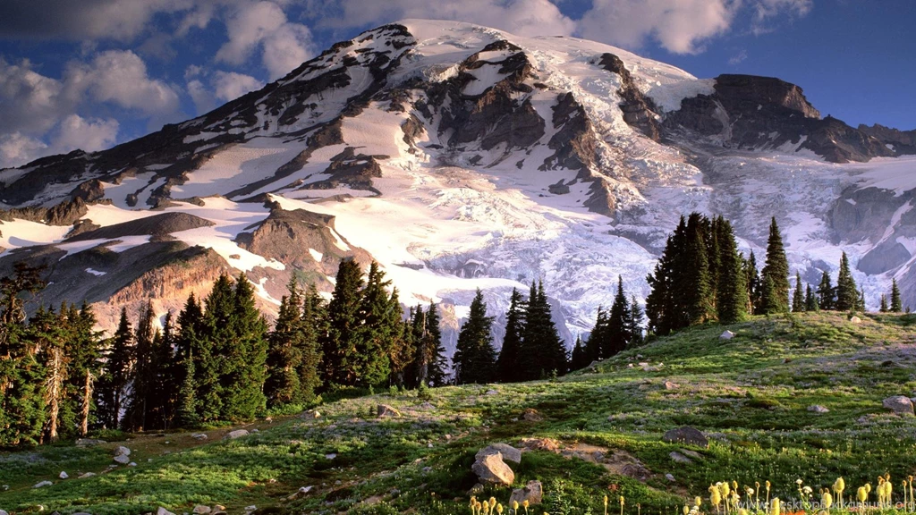 Mount Rainier Wallpapers