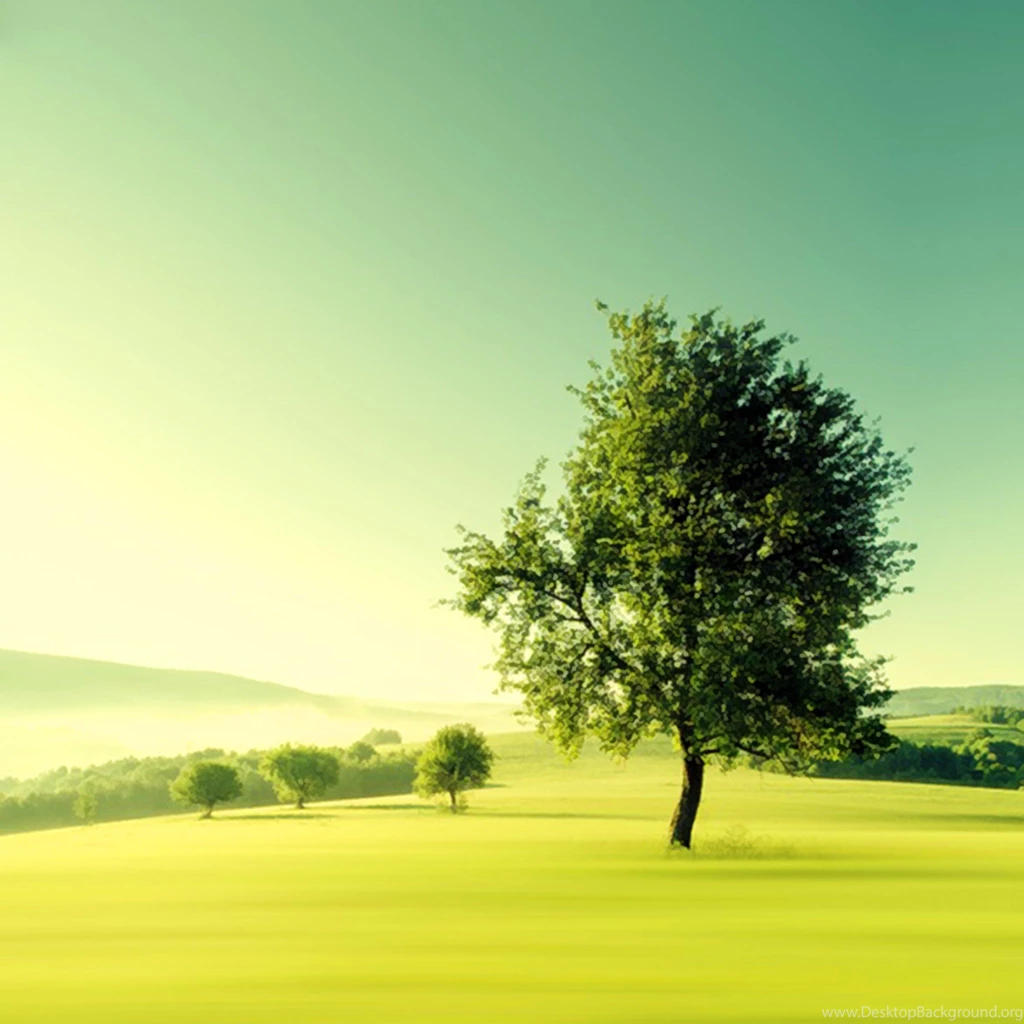 Beautiful iPad Air Wallpapers