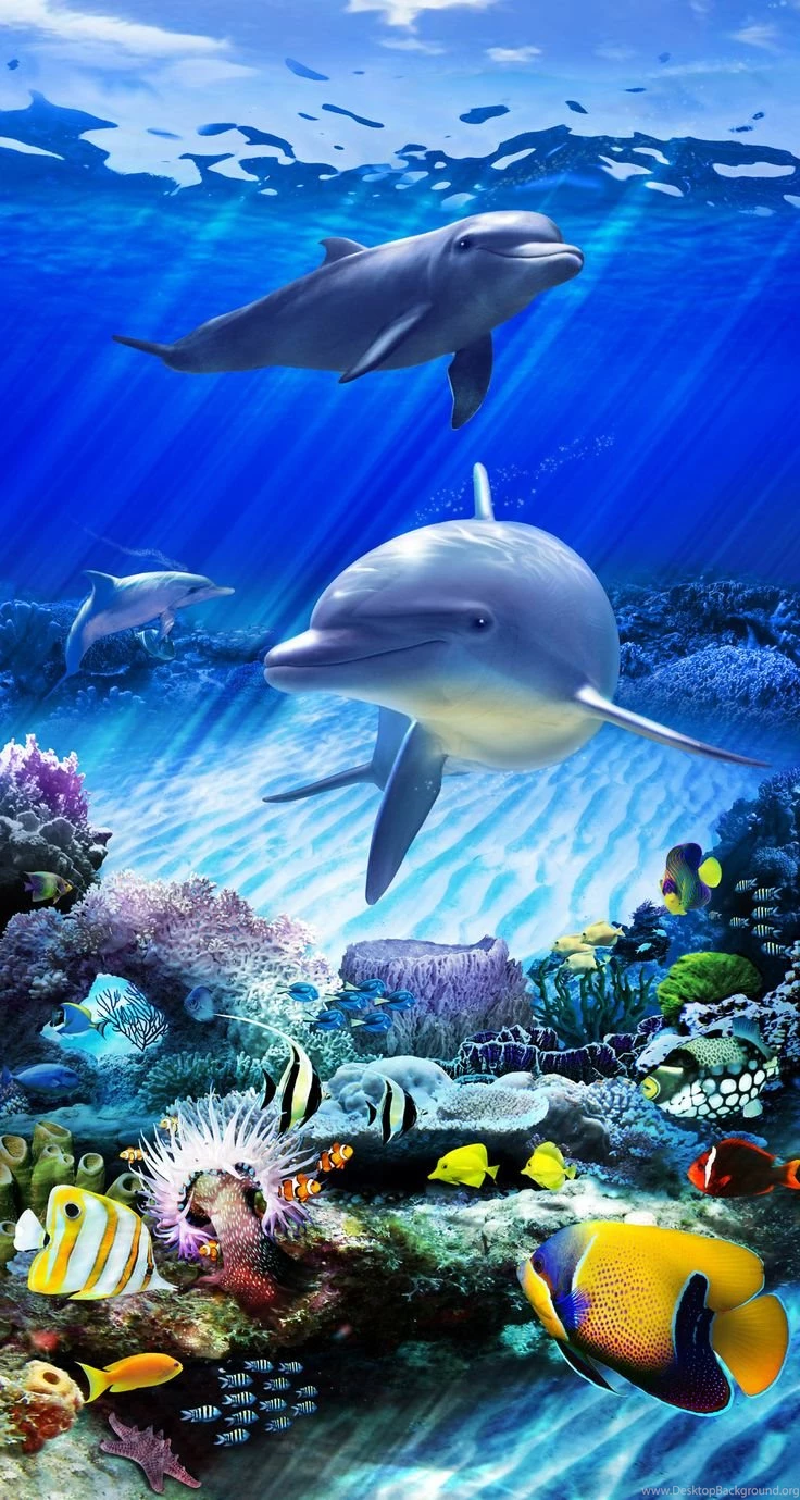 Dolphin Reef Static Cling Film For Glass Doors & Windows, By ...