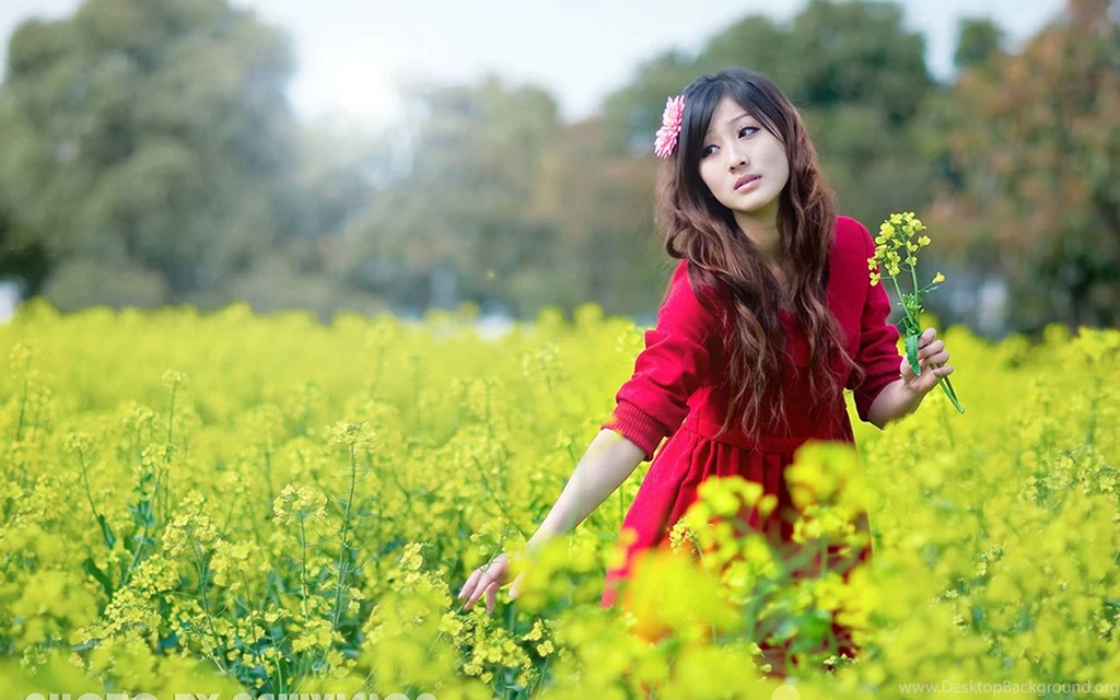 Chinese Girls Wallpapers HD Pictures
