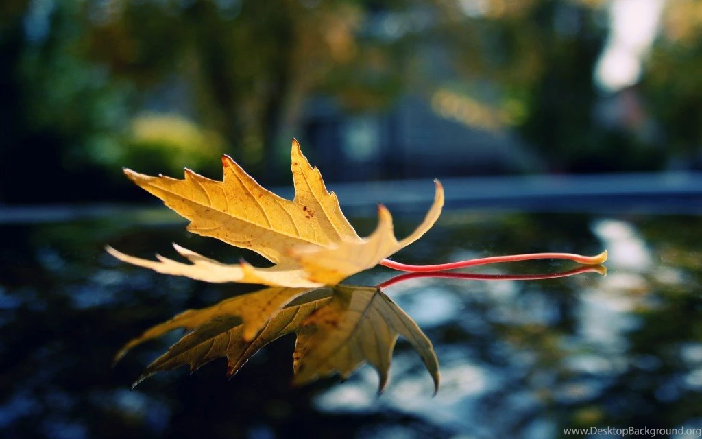 Hdwallpapers