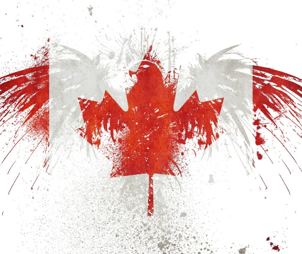 Wallpapers Paint Hawk Vga Wvga Apple Facebook Covers Phone Dual ...