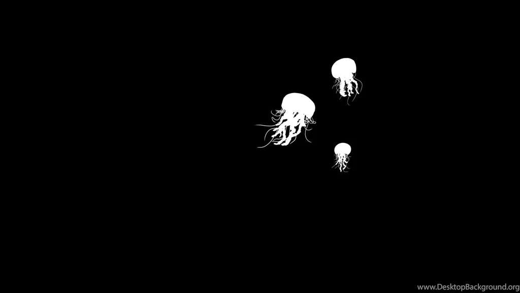 Black And White Xkcd Jellyfish Wallpapers