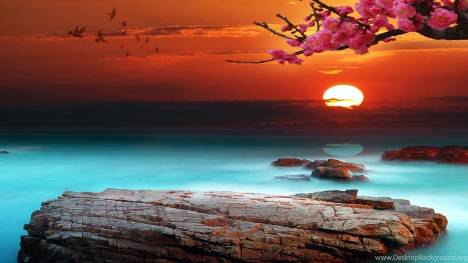 Sky Bright Sunset Desktop Backgrounds 333087 : Wallpapers13.com