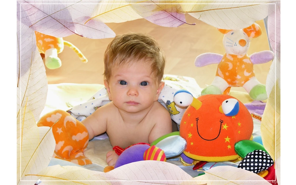 Descargar Fondos De Pantalla Ardillas Bebes Hd Widescreen Gratis ...