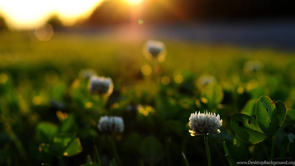 12 Beautiful HD Sunrise Wallpapers HDWallSource.com