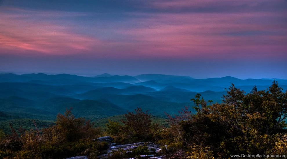 Savoring The Wildlife On Grandfather Mountain