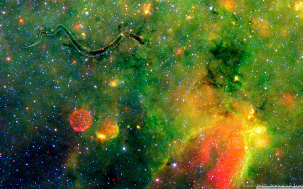 Download Snake On The Galactic Plane Wallpapers   Wallpapers Widest