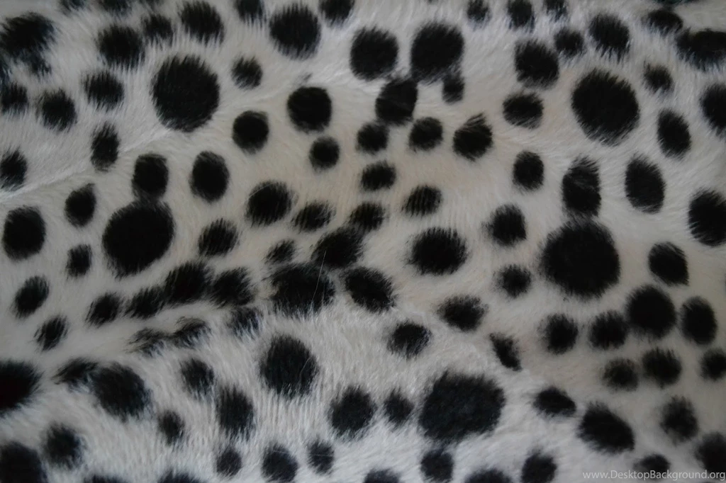 Cheetah Print Wallpapers 489 Fit Wallpapers