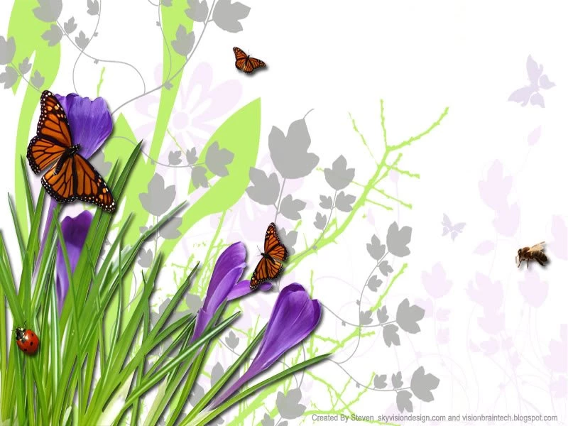 Visiontechbrain: Free Wallpapers :: Flower Bugs