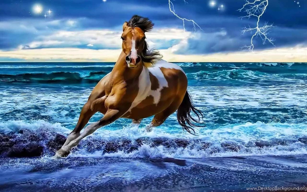 Horse Wallpapers Android Apps On Google Play