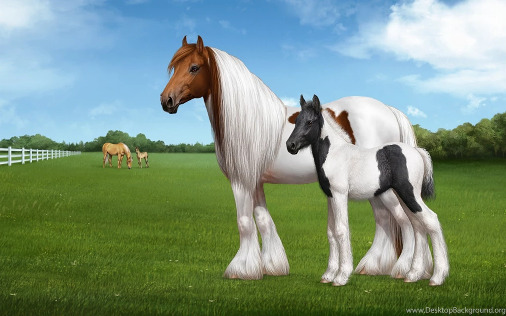 Beautiful Horses In Sunset HD Wallpapers For PC And Mobile