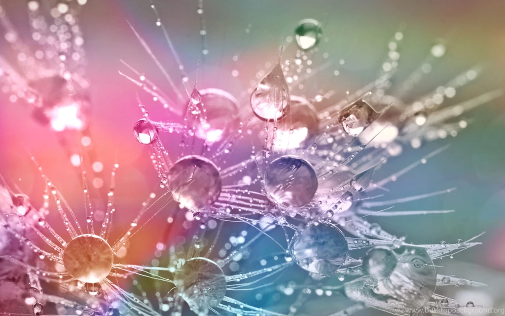 Water Drops Wallpapers HD Of Water Drops And Rain Drops