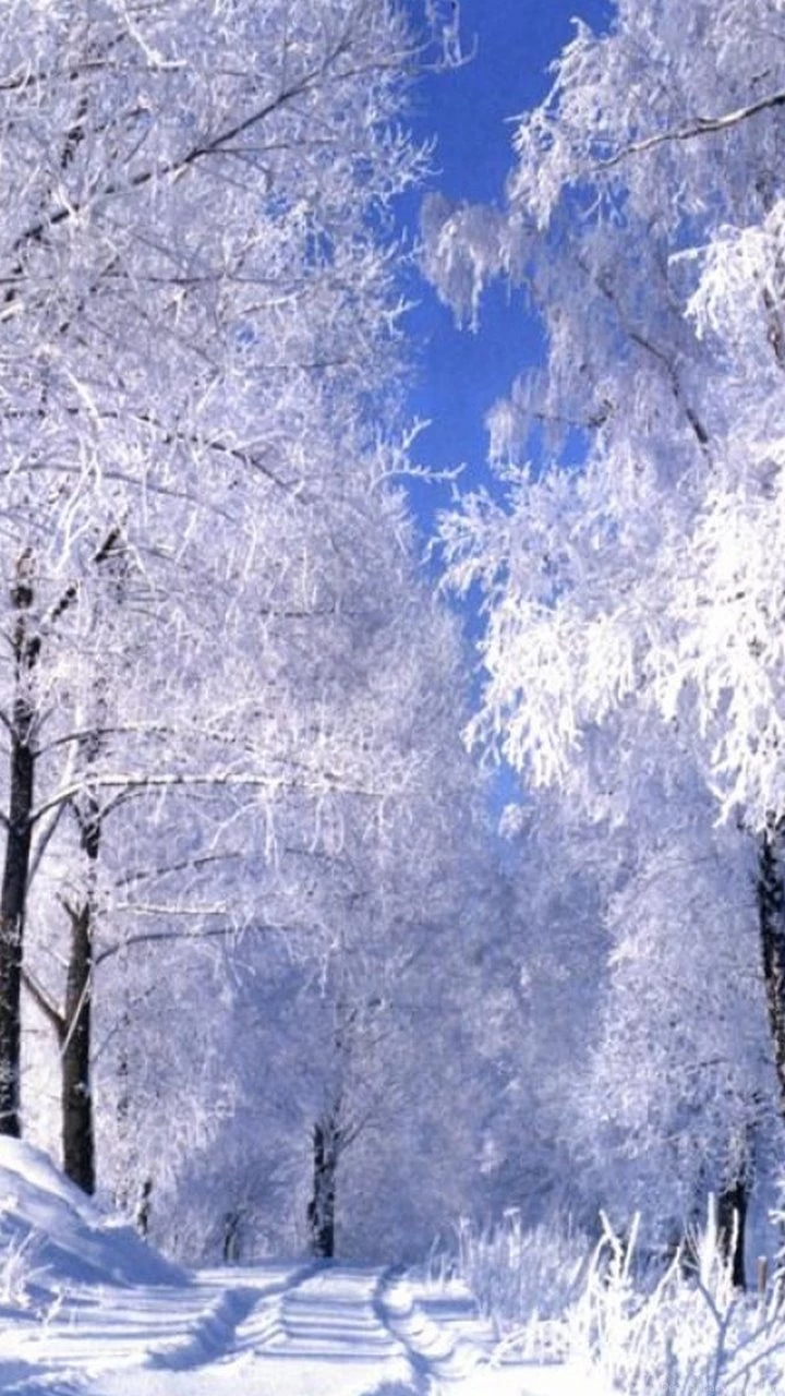 Galaxy S3 Wallpapers HD   Beautiful, Stunning Wallpapers