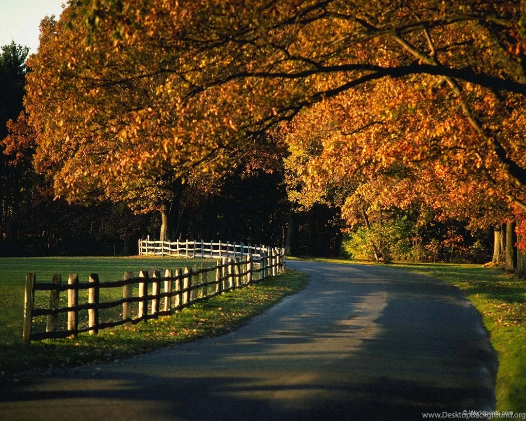 Free Fall Autumn Desktop Backgrounds