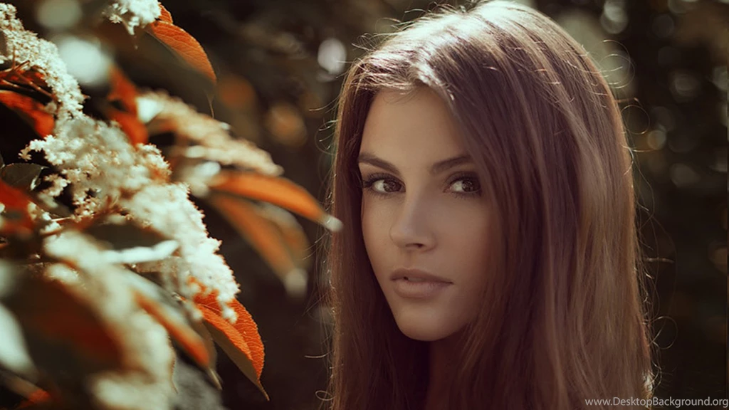 Download Red Rose Wallpapers Gallery Photos