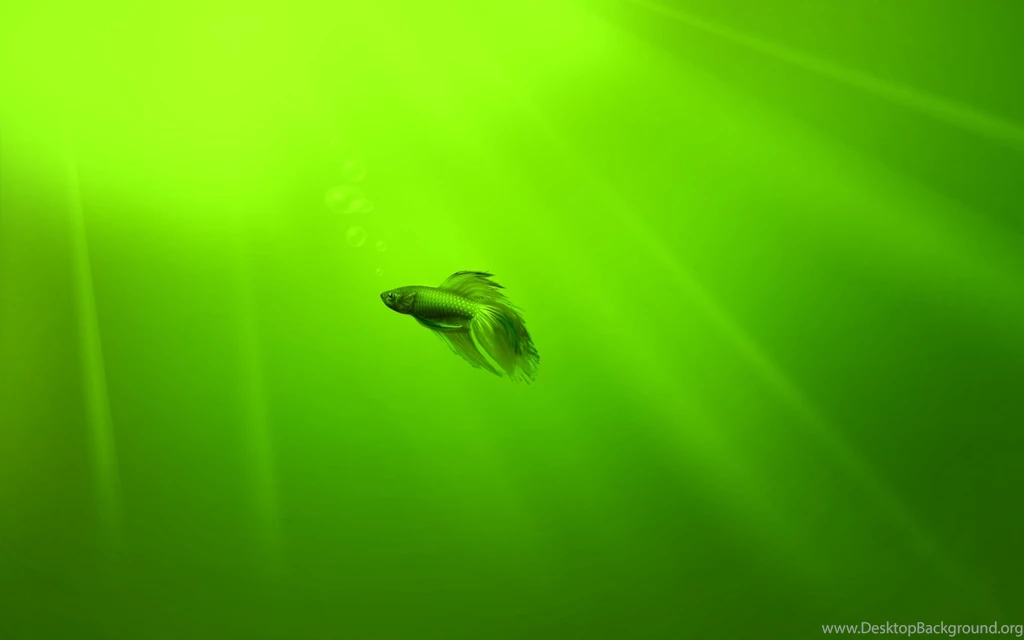 Windows 7 Blue Green