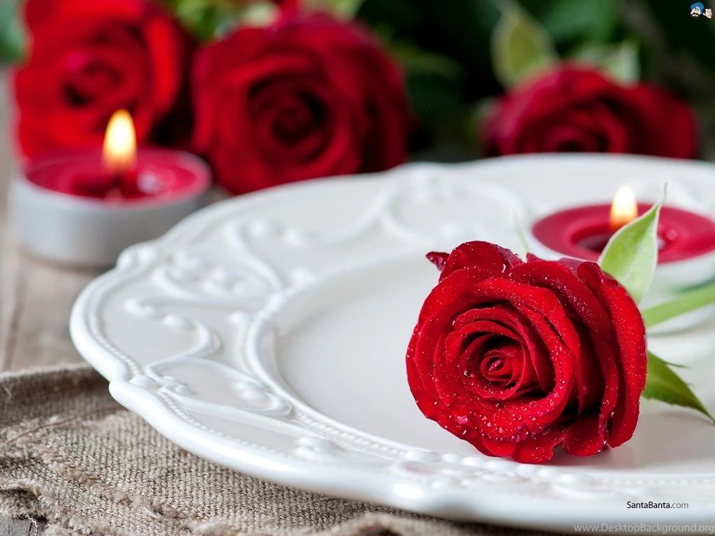 Editor's Pick For Flowers Wallpapers