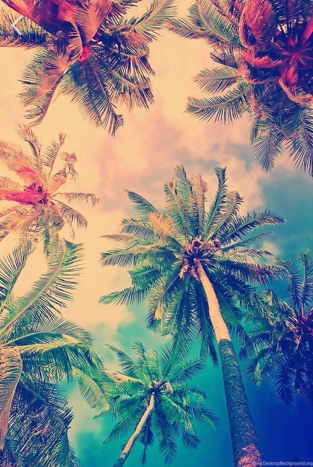 Nos Vamos A La Playa