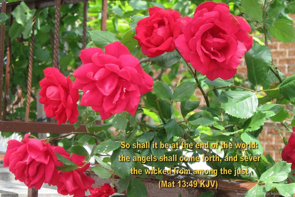 Inspirational WALLPAPERS, BIBLE VERSES, Flowers II