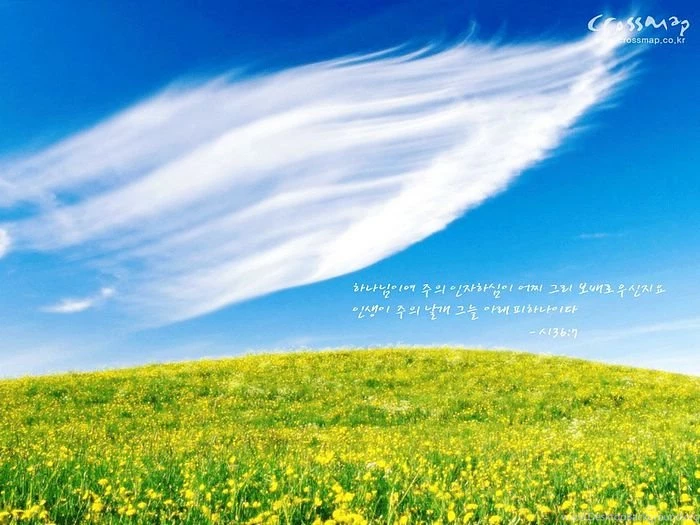 Inspirational Biblical Quotes