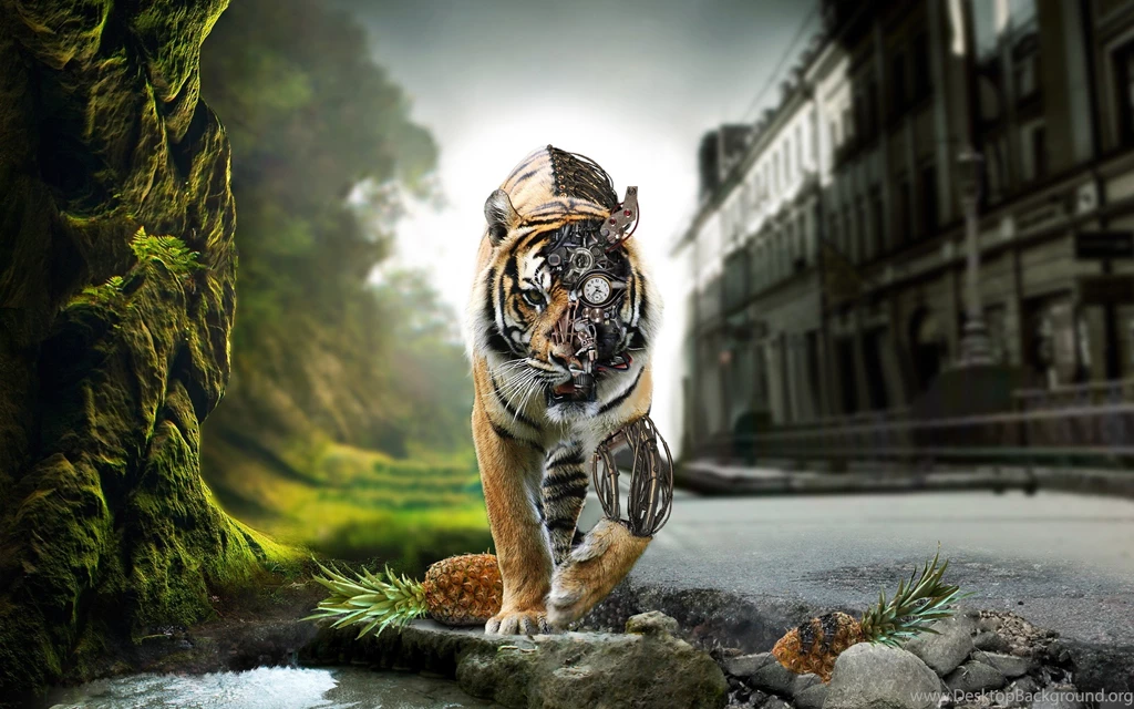 3d Wallpapers Pictures Best Fullwidehd.com