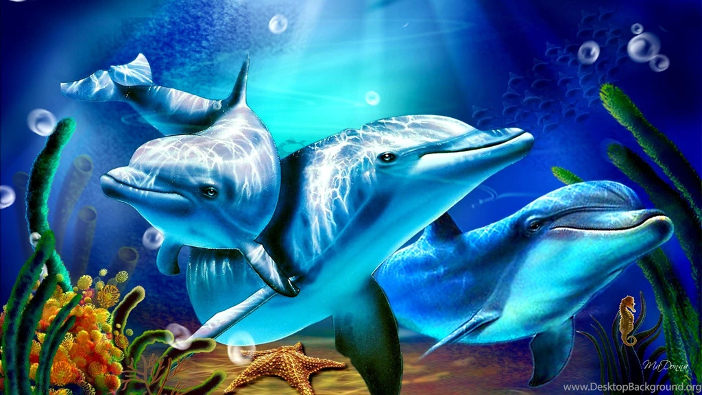 Dolphin Wallpapers