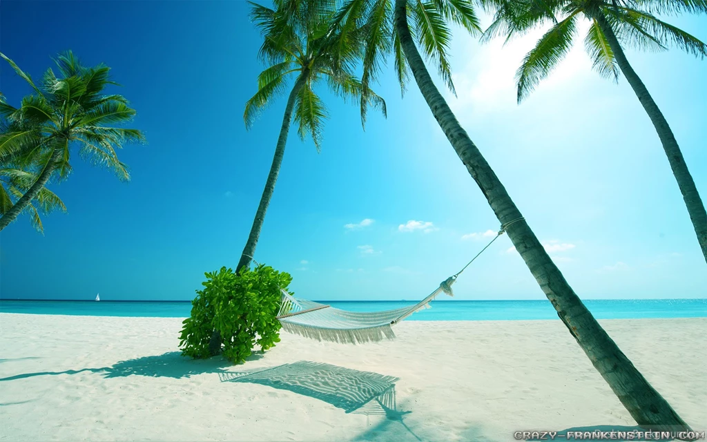Summer Scenes Wallpapers 2 Crazy Frankenstein