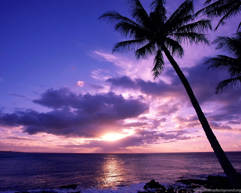 Bing Wallpapers