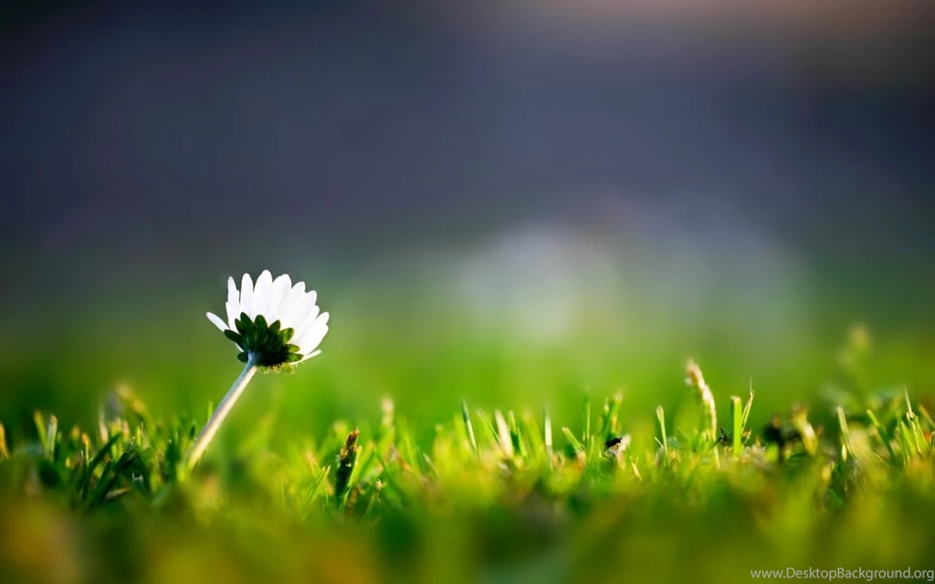 Vodafone Smart Tab 10 Wallpapers • 119 HD Wallpapers