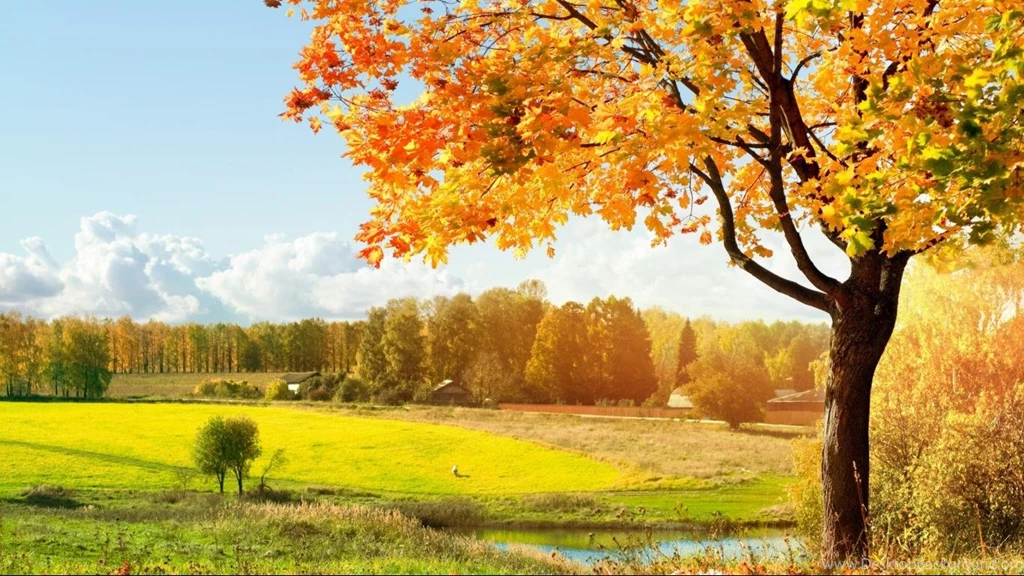 Autumn hd widescreen wallpaper wallpapers HD Widescreen Wallpapers