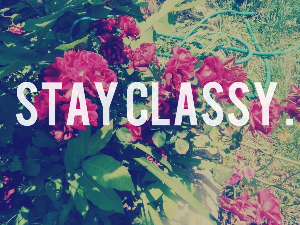 Flower Tumblr Wallpapers   Wallpapers Zone