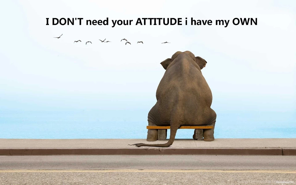 Cool Attitude Wallpapers HD Wallpapers And Pictures