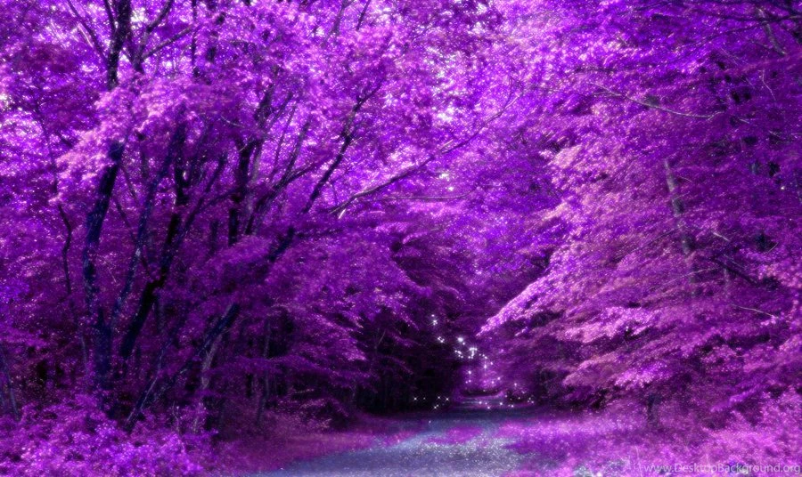 Purple Fairy Related Keywords & Suggestions Purple Fairy Long ...