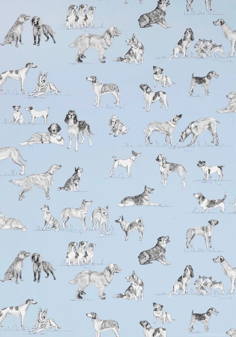 Best Friend By Thibaut : Wallpapers Direct