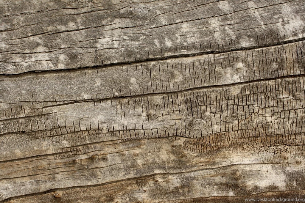 Dark Weathered Wood Texture