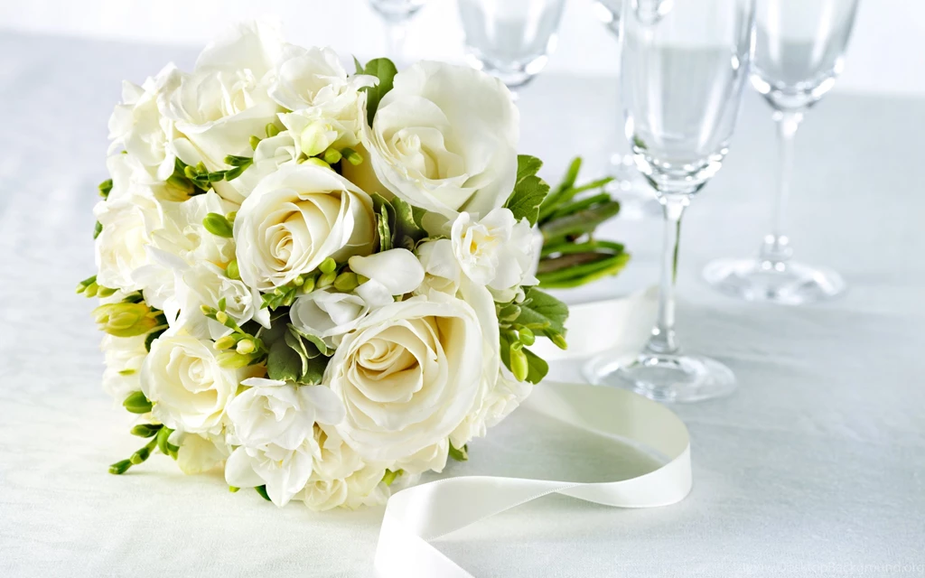 White Rose Images