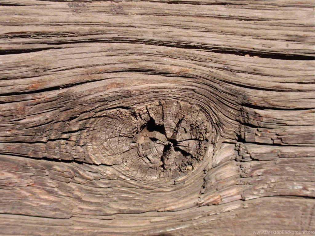 Knot In Wood